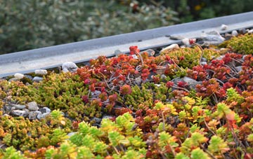 the cost of London End green roof installation